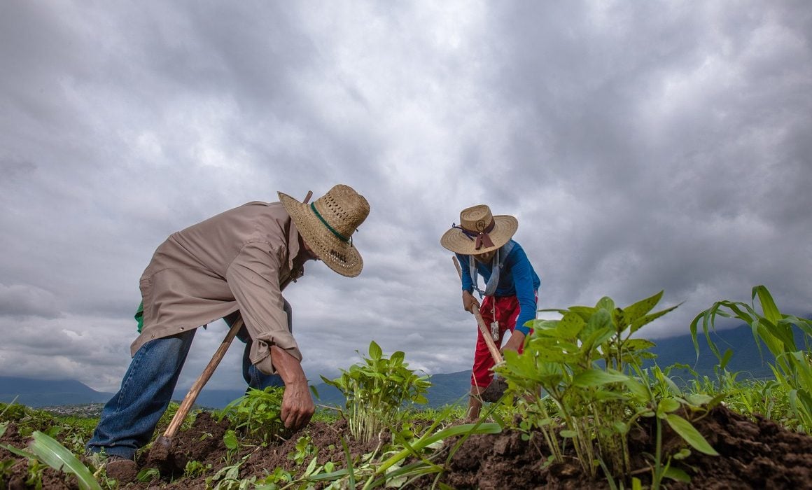 Agricultura