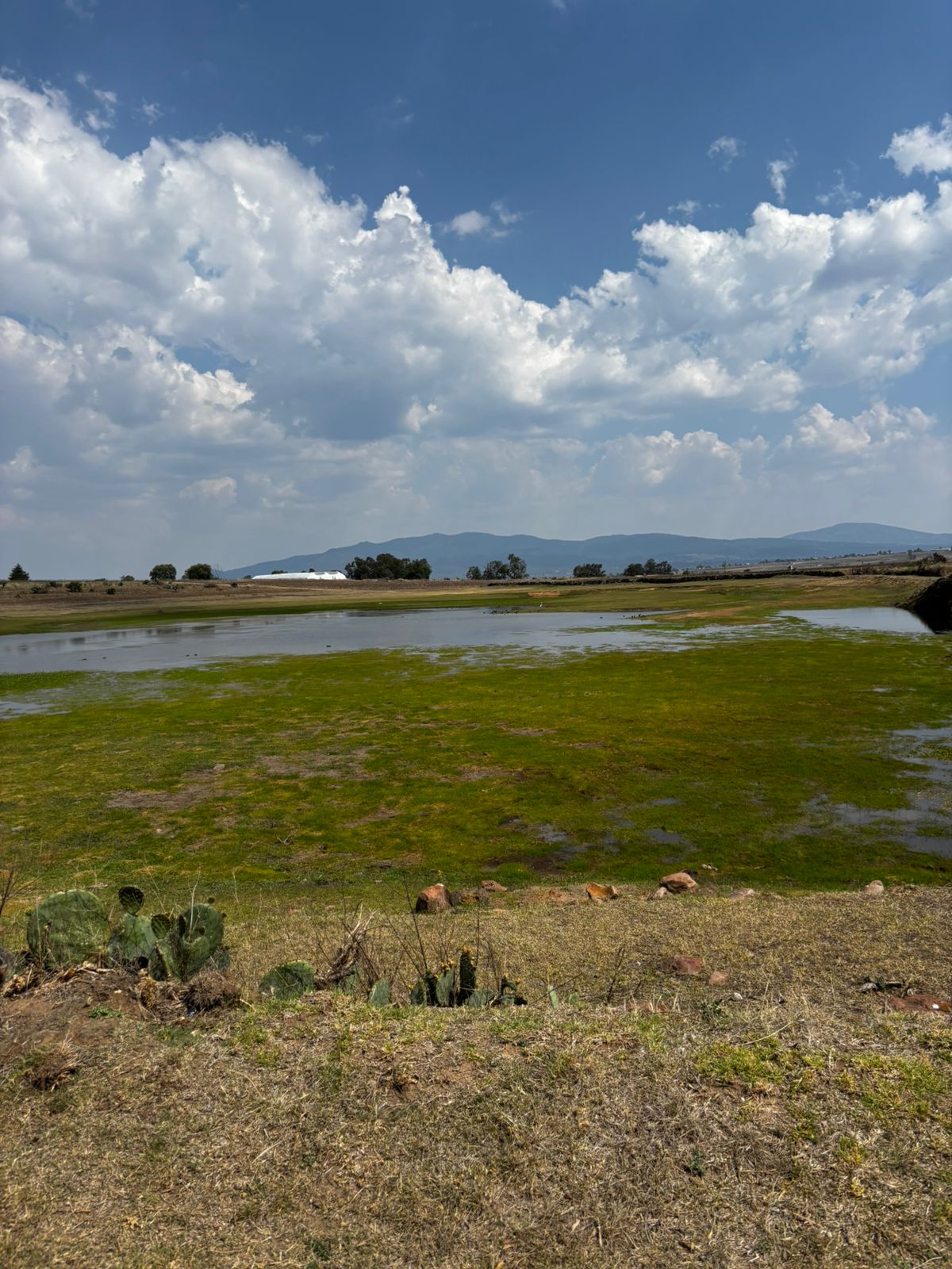 Paisaje 2