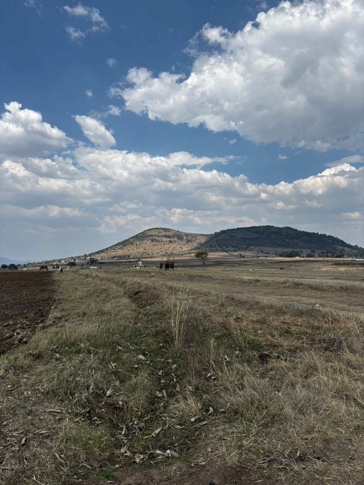 Paisaje 3