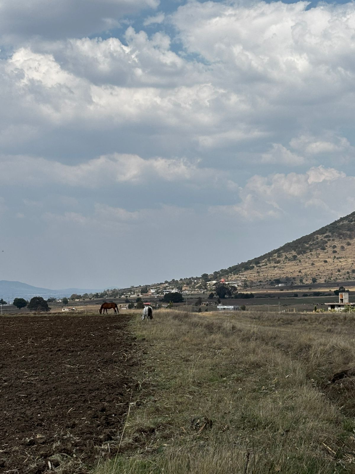 Paisaje 7