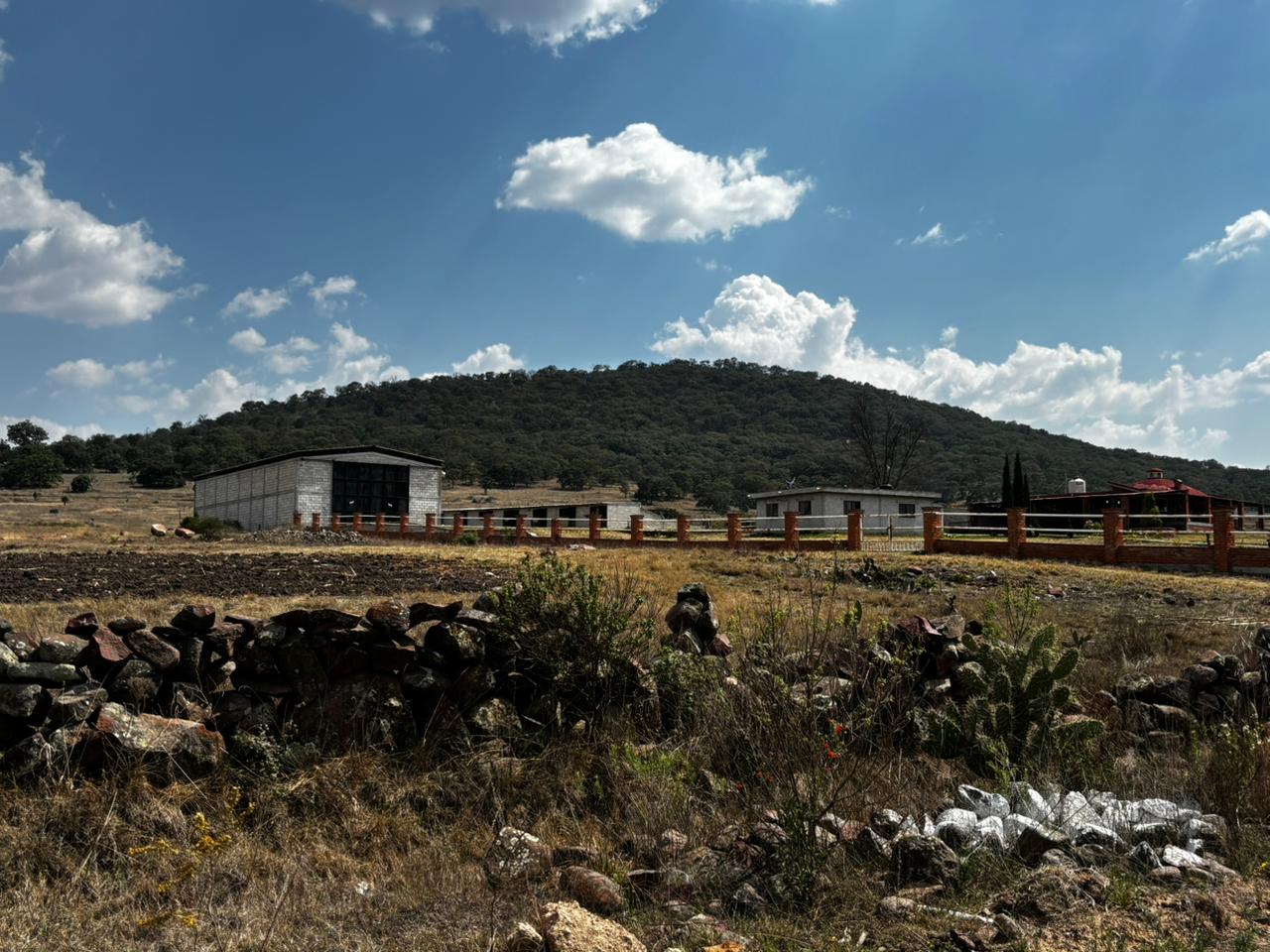 Paisaje 6