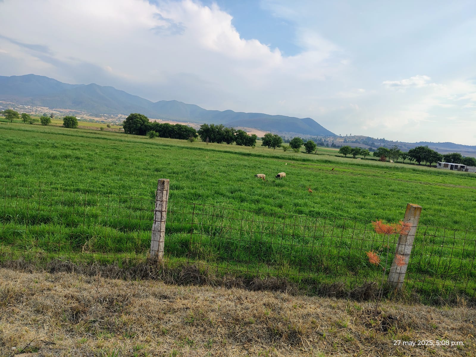 Artesanías locales