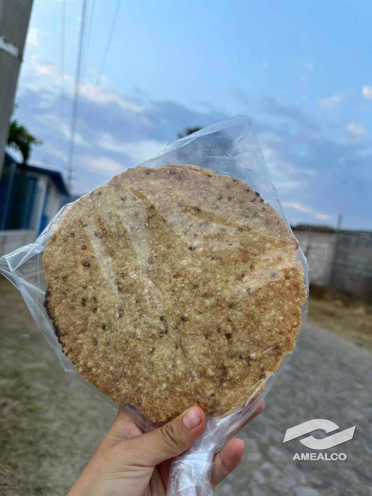 Tostadas de maíz quebrado